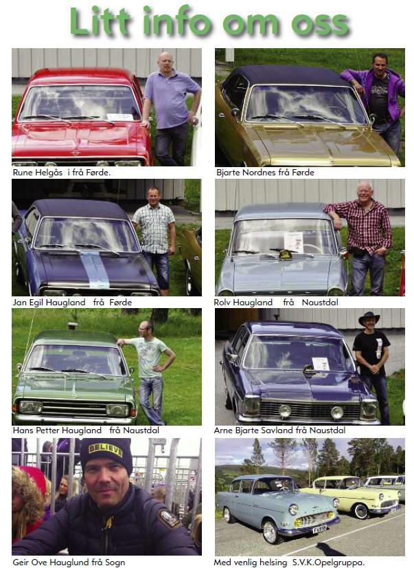 Opeltreff 2015 Torpomoen