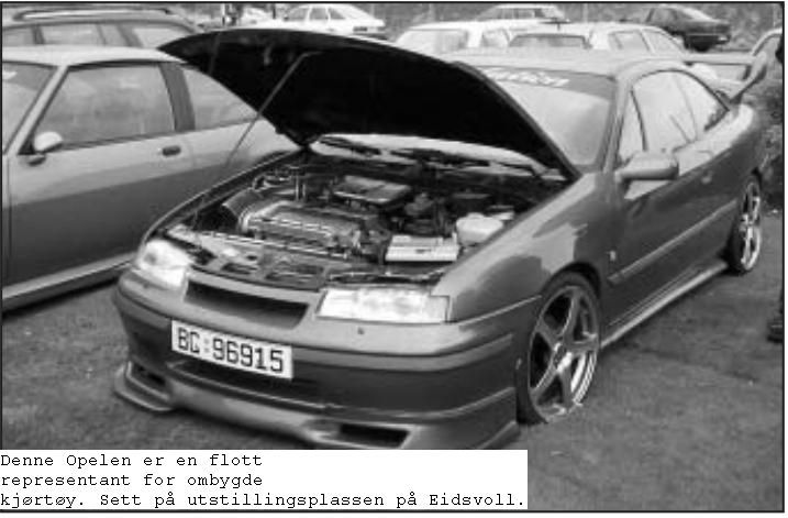 Opeltreff 2004 Hersjøen